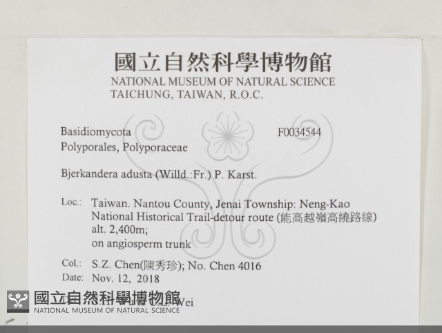 煙管菌藏品圖，第2張