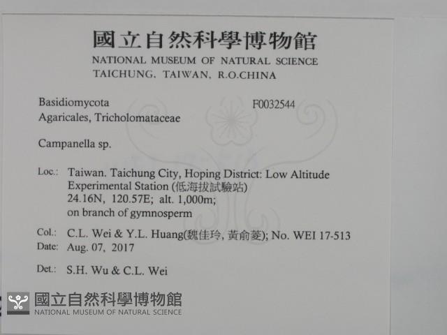 登錄號:F0032544藏品圖，第2張