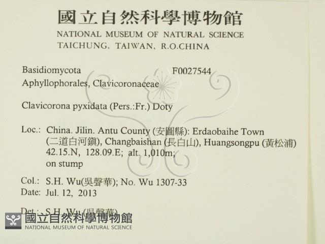 登錄號:F0027544藏品圖，第2張