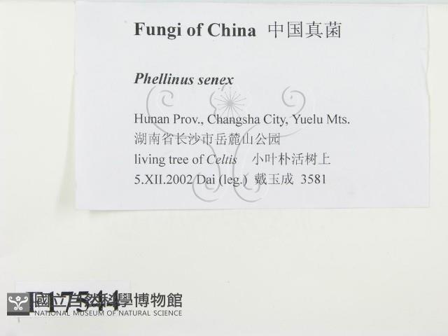 登錄號:F0017544藏品圖，第2張