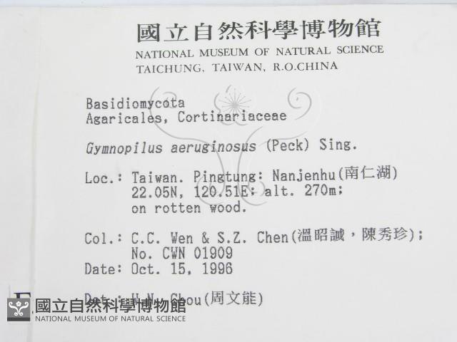 登錄號:F0005544藏品圖，第2張