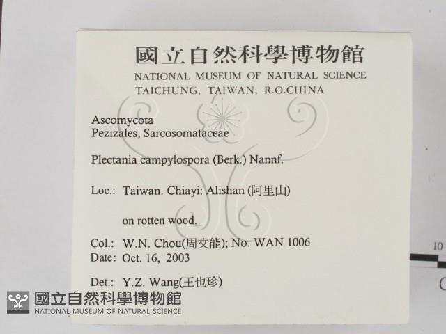 登錄號:F0015544藏品圖，第2張