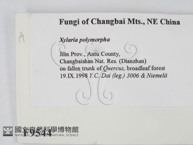 登錄號:F0009544藏品圖，第2張