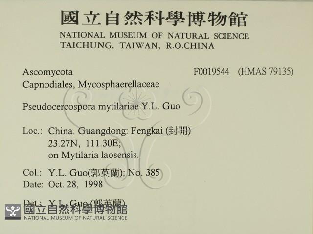 登錄號:F0019544藏品圖，第2張