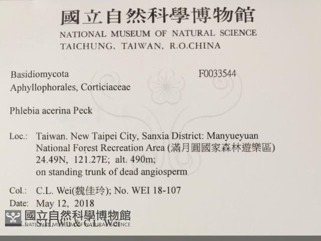 登錄號:F0033544藏品圖，第2張