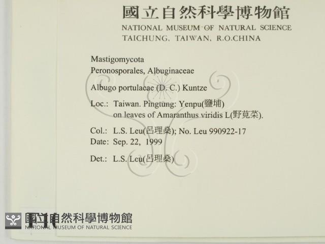 登錄號:F0010144藏品圖，第2張