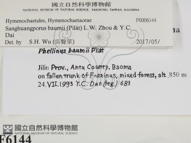 登錄號:F0006144藏品圖，第2張