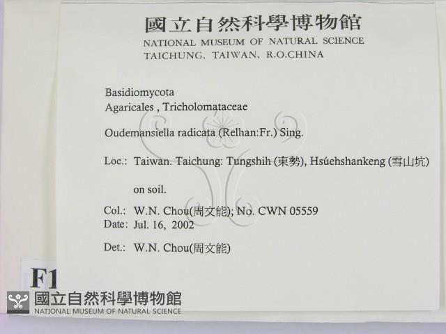 登錄號:F0016144藏品圖，第2張
