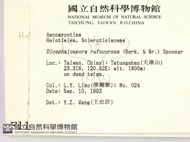 登錄號:F0001144藏品圖，第2張