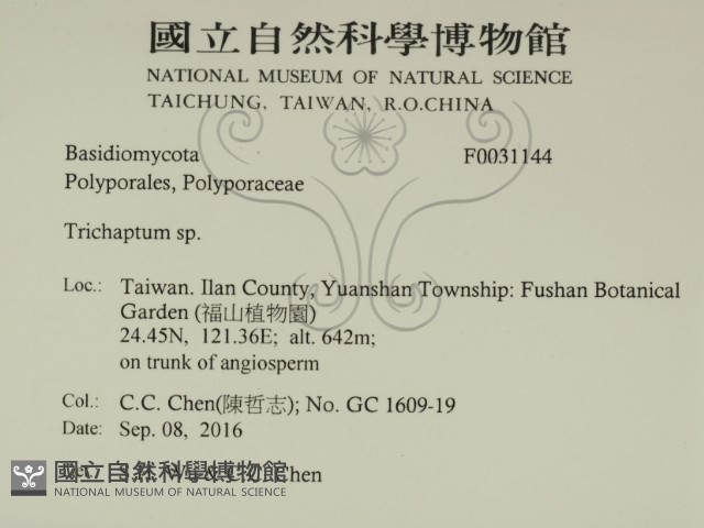 附毛菌屬藏品圖，第2張