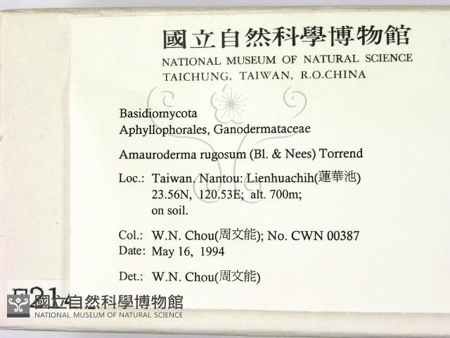 登錄號:F0002144藏品圖，第2張