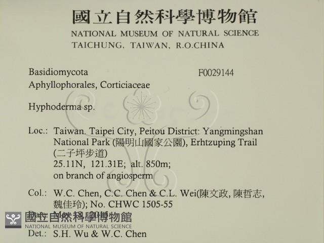絲皮菌屬藏品圖，第2張