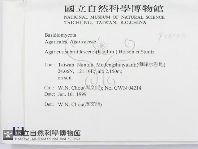 登錄號:F0013144藏品圖，第2張