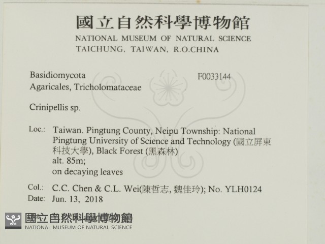 登錄號:F0033144藏品圖，第2張