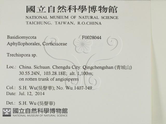 登錄號:F0028044藏品圖，第2張
