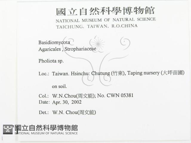 登錄號:F0016044藏品圖，第2張