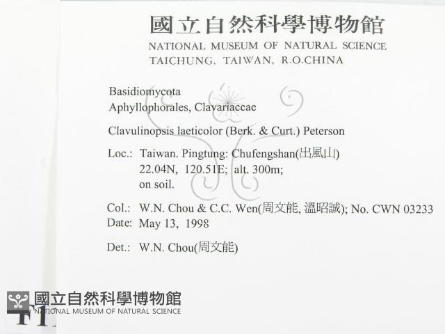 登錄號:F0011044藏品圖，第2張