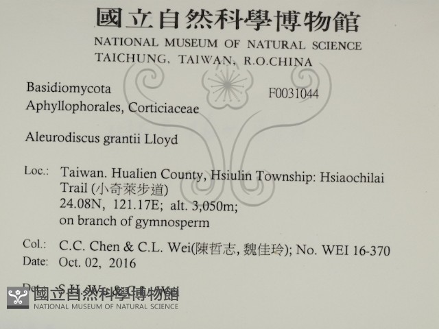 登錄號:F0031044藏品圖，第2張