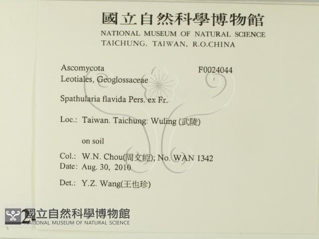 登錄號:F0024044藏品圖，第2張