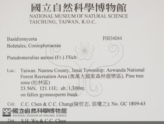 登錄號:F0034044藏品圖，第2張