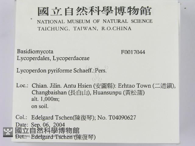 登錄號:F0017044藏品圖，第2張