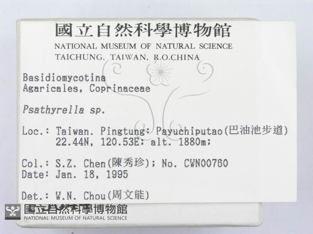 登錄號:F0003044藏品圖，第2張