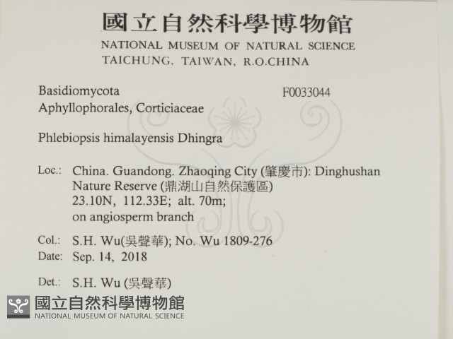 登錄號:F0033044藏品圖，第2張