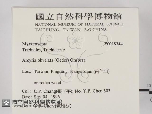 登錄號:F0018344藏品圖，第2張