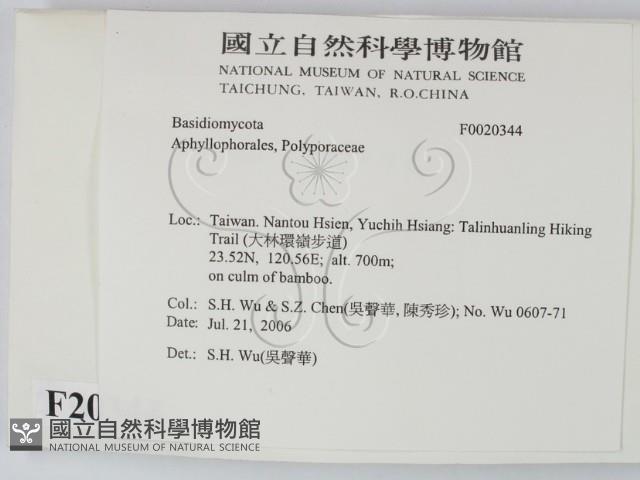 登錄號:F0020344藏品圖，第2張