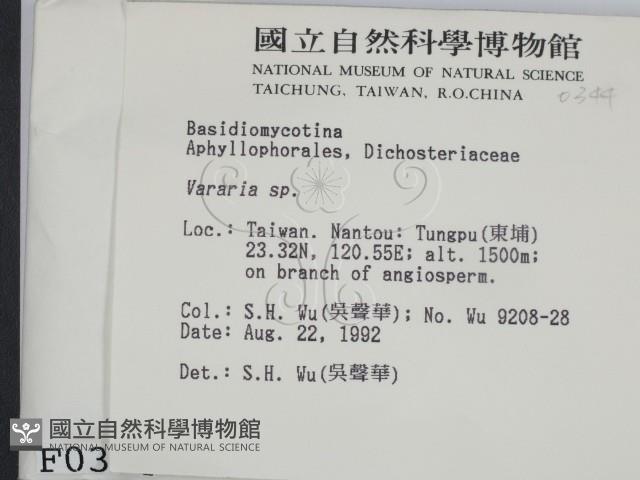 登錄號:F0000344藏品圖，第2張