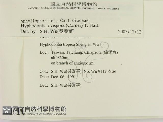 登錄號:F0010344藏品圖，第2張