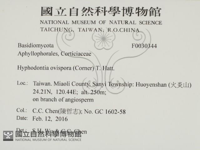 登錄號:F0030344藏品圖，第2張