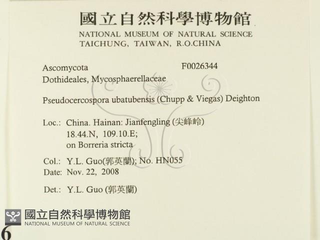 登錄號:F0026344藏品圖，第2張