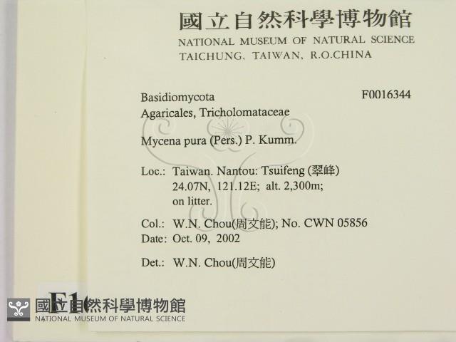 登錄號:F0016344藏品圖，第2張