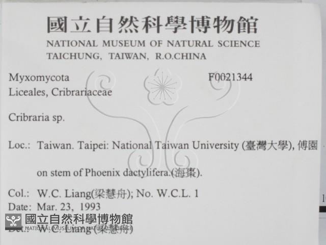 登錄號:F0021344藏品圖，第2張