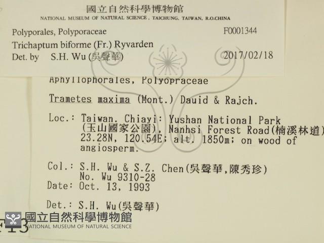 登錄號:F0001344藏品圖，第2張