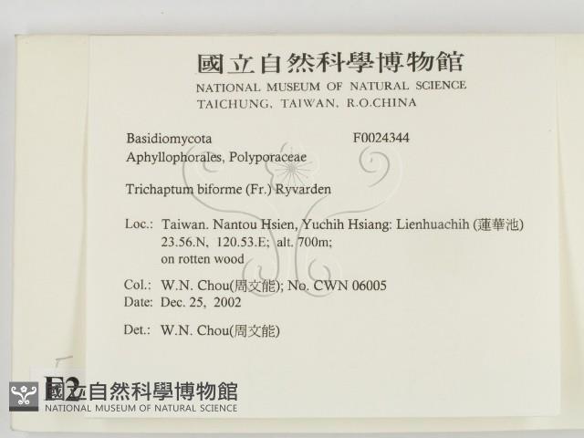 登錄號:F0024344藏品圖，第2張