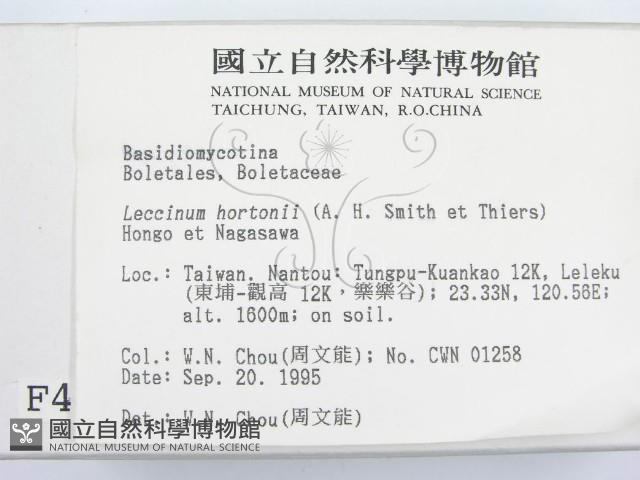 登錄號:F0004344藏品圖，第2張