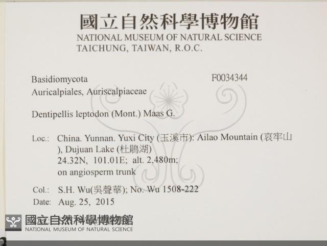 登錄號:F0034344藏品圖，第2張