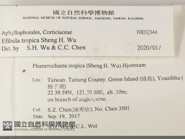 登錄號:F0032344藏品圖，第2張