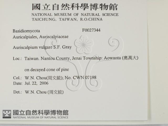 登錄號:F0027344藏品圖，第2張