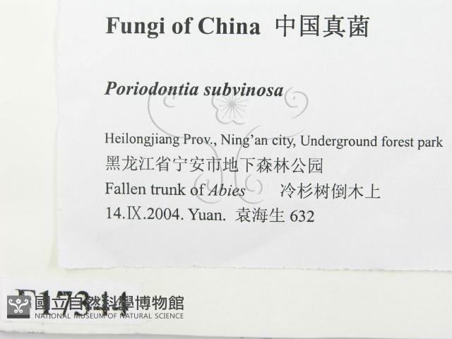 登錄號:F0017344藏品圖，第2張