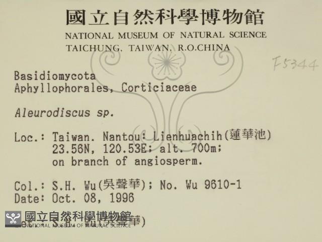登錄號:F0005344藏品圖，第2張