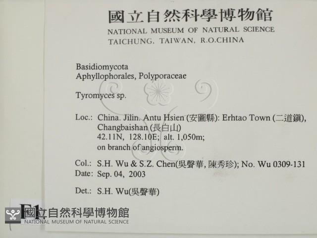 登錄號:F0015344藏品圖，第2張