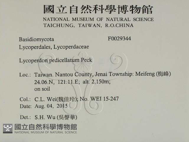 登錄號:F0029344藏品圖，第2張