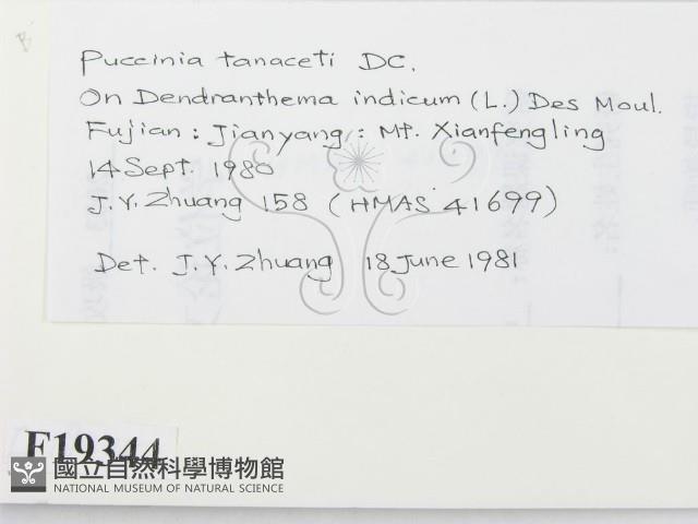 登錄號:F0019344藏品圖，第2張