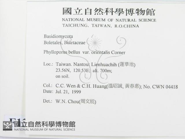 登錄號:F0013344藏品圖，第2張