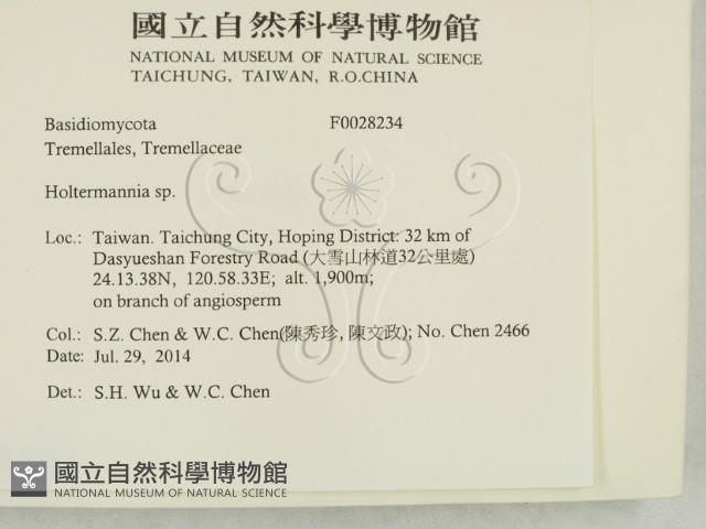 登錄號:F0028234藏品圖，第2張