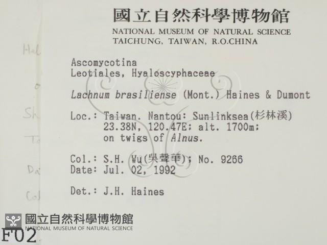 登錄號:F0000234藏品圖，第2張
