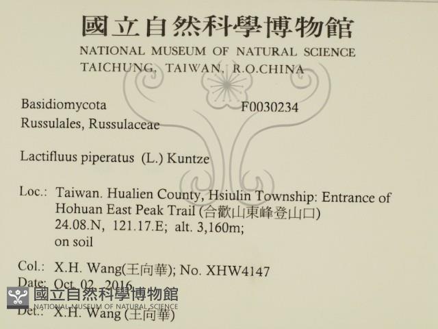 登錄號:F0030234藏品圖，第2張